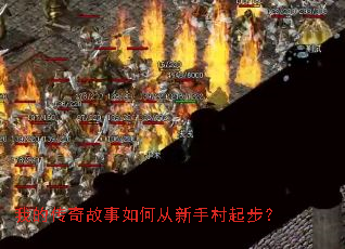 �ҵĴ��������δ����ִ��𲽣�