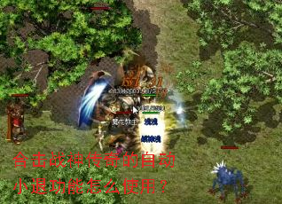 �ϻ�ս������Զ�С�˹�����ôʹ�ã�