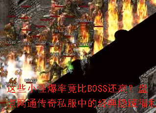 ��ЩС�ֱ��ʾ���BOSS���ߣ��̵���ͨ����˽���еľ������ظ���