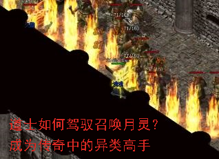 ��ʿ��μ�Ԧ�ٻ����飿��Ϊ�����е��������