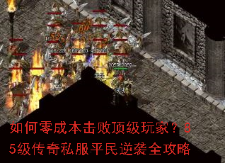 �����ɱ����ܶ�����ң�85������˽��ƽ����Ϯȫ����