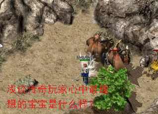 ǳ̸�����������������ı�����ʲô����