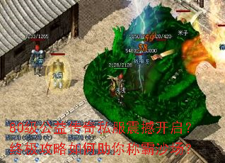 80�����洫��˽���𺳿������ռ������������ư�ɳ����