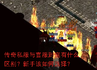 ����˽����ٷ�������ʲô�������ָ����ѡ��