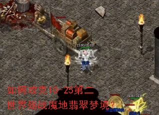 ��ι���10-25�ڶ�������սħ������ξ���