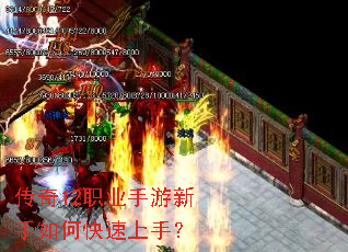 ����12ְҵ����������ο������֣�