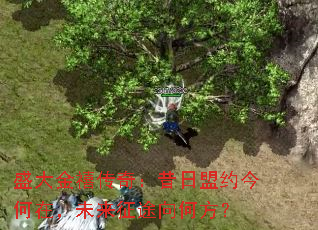 ʢ��������棺������Լ����ڣ�δ����;��η���