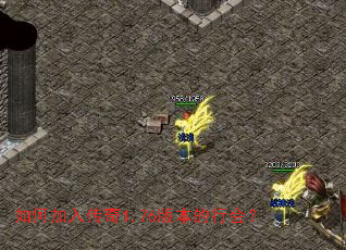 ��μ��봫��1.76�汾���л᣿