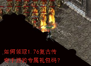 �����ȡ1.76���Ŵ������ε�ר������룿