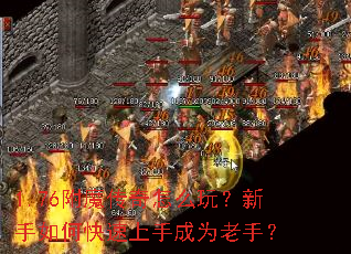 1.76��ħ������ô�棿������ο������ֳ�Ϊ���֣�
