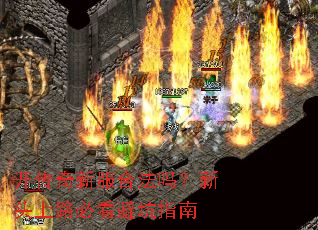�������·��Ϸ�����ͷ��·�ؿ��ܿ�ָ��
