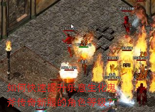 如何快速提升乐意生化鬼斧传奇新服的角色等级? 如何快速提升乐意生化鬼斧传奇新服的角色等级?