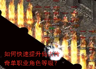 ��ο��������ɹŴ��浥ְҵ��ɫ�ȼ���