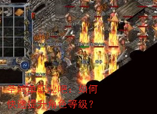 ʥ�赥ְҵ�ɣ���ο���������ɫ�ȼ���