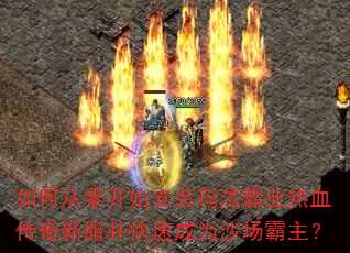 ��δ��㿪ʼ��װ�귨��ҵ��Ѫ�����·������ٳ�Ϊɳ��������