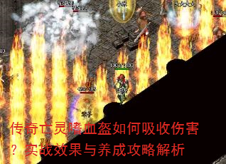 ����������Ѫ����������˺���ʵսЧ�������ɹ��Խ���