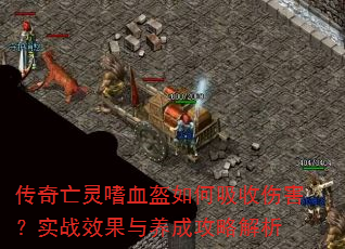����������Ѫ����������˺���ʵսЧ�������ɹ��Խ���