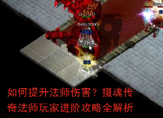 ���������ʦ�˺�����괫�淨ʦ��ҽ��׹���ȫ����