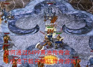 ���ͨ��8499���ʹ�����ӿ������ز����洫����Ϸ��