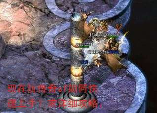 �����洫��sf��ο������֣�����ϸ���ԡ�