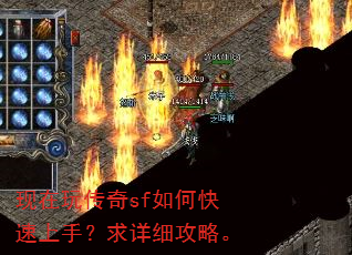 �����洫��sf��ο������֣�����ϸ���ԡ�