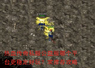 ��Ѫ����˽��������ĸ�ƽ̨���ȶ����棿���Ƽ�����