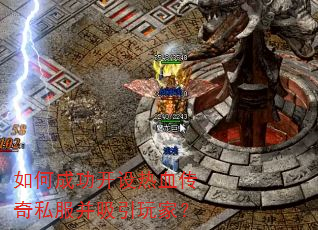 ��γɹ�������Ѫ����˽����������ң�