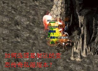 ���ѡ��������ı�̬����˽���汾��