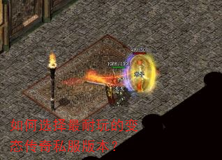 ���ѡ��������ı�̬����˽���汾��