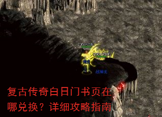 ���Ŵ����������ҳ���Ķһ�����ϸ����ָ��