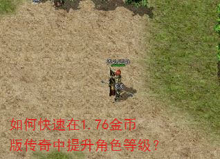 如何快速在1.76金币版传奇中提升角色等级? 如何快速在1.76金币版传奇中提升角色等级?
