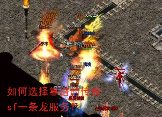 ���ѡ���׵Ĵ���sfһ��������