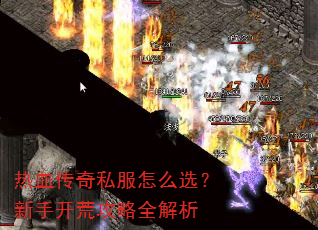 ��Ѫ����˽����ôѡ�����ֿ��Ĺ���ȫ����
