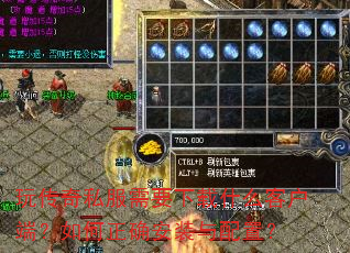 �洫��˽����Ҫ����ʲô�ͻ��ˣ������ȷ��װ�����ã�