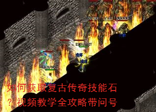 ��λ�ȡ���Ŵ��漼��ʯ����Ƶ��ѧȫ���Դ��ʺ�