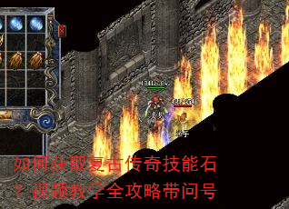 ��λ�ȡ���Ŵ��漼��ʯ����Ƶ��ѧȫ���Դ��ʺ�