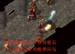 ��λ�ȡ���Ŵ��漼��ʯ����Ƶ��ѧȫ���Դ��ʺ�