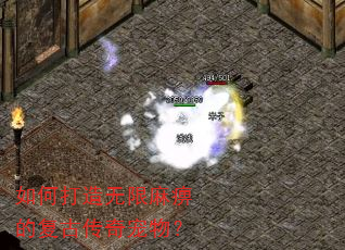 如何打造无限麻痹的复古传奇宠物? 如何打造无限麻痹的复古传奇宠物?