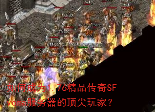 ��γ�Ϊ1.76��Ʒ����SFvoma�������Ķ�����ң�