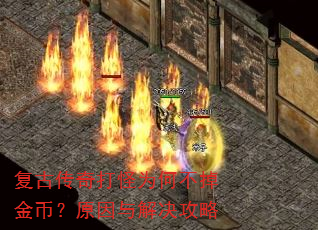 ���Ŵ�����Ϊ�β�����ң�ԭ����������