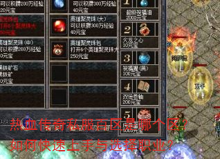 ��Ѫ����˽���������ĸ�������ο���������ѡ��ְҵ��