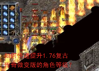 ��ο�������1.76���Ŵ���΢���Ľ�ɫ�ȼ���