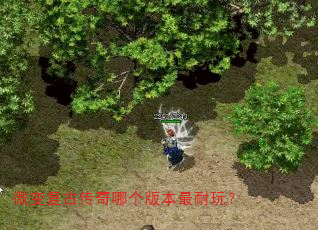 ΢�临�Ŵ����ĸ��汾�����棿