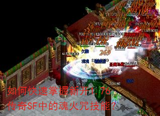 ��ο��������¿�1.76����SF�еĻ���似�ܣ�