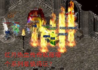 ������Ѫ����˽���ĸ�ϵ����ֵ���棿