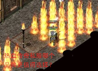 ��Ѫ����˽���ĸ�Ʒ�Ƹ�ֵ��ѡ��
