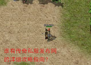 ˭�д���˽������������ϸ����ָ�ϣ�