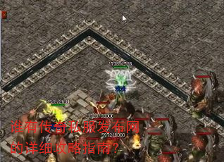 ˭�д���˽������������ϸ����ָ�ϣ�