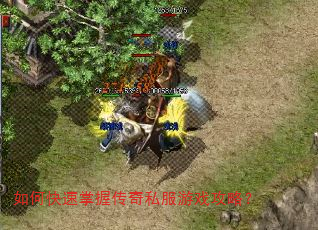 ��ο������մ���˽����Ϸ���ԣ�