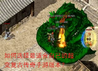 ���ѡ�����ʺ��Լ��ĳ��临�Ŵ������ΰ汾��